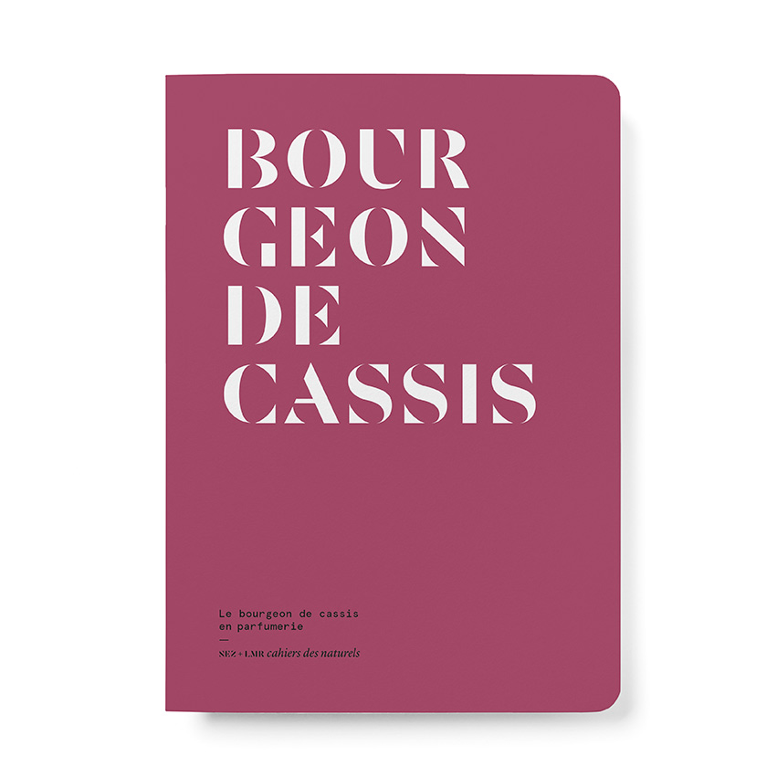 Le Bourgeon de cassis en parfumerie / Blackcurrant bud in perfumery