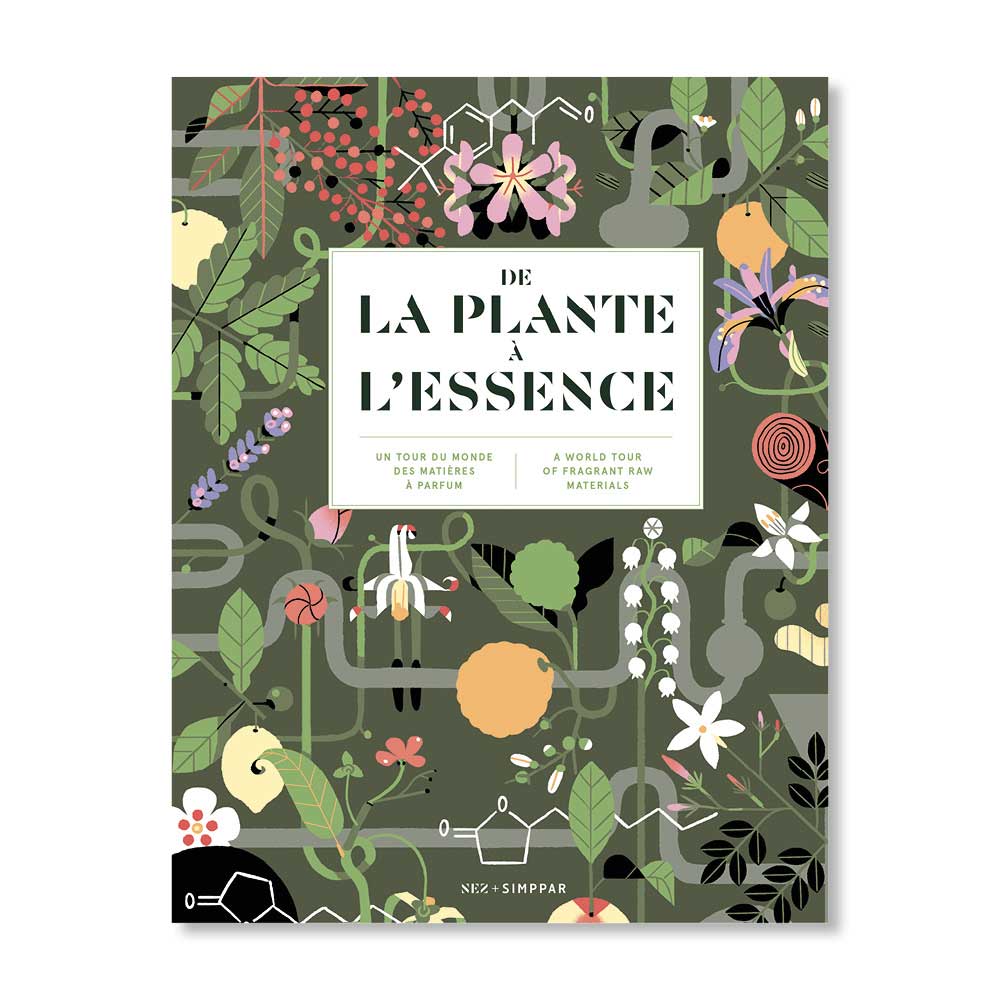 De la plante à l’essence