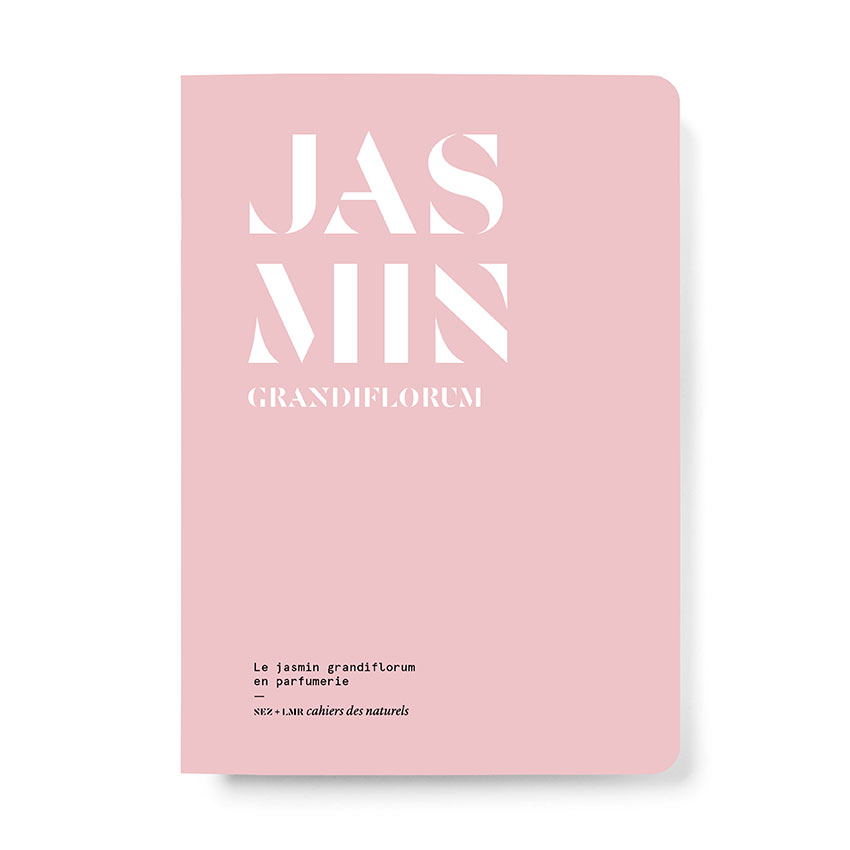 Jasmin Grandiflorum